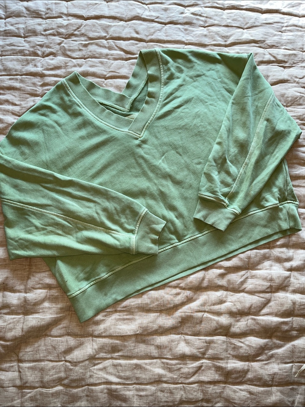 aerie L V-Neck Pullover Sweatshirt